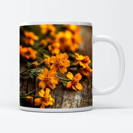 Orange Cosmos Flowers On Rustic Wood