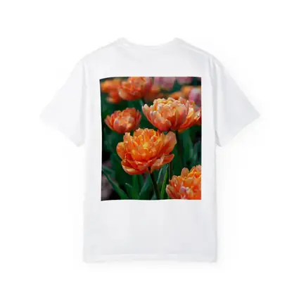 Orange Double Tulips Garden Sunny Day