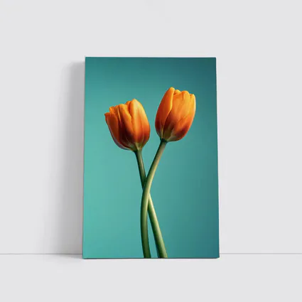 Two Orange Tulips Teal Background