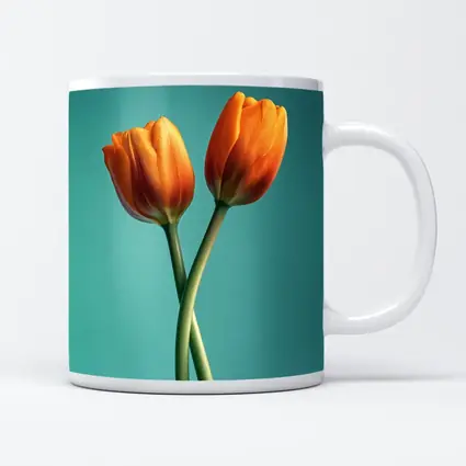 Two Orange Tulips Teal Background