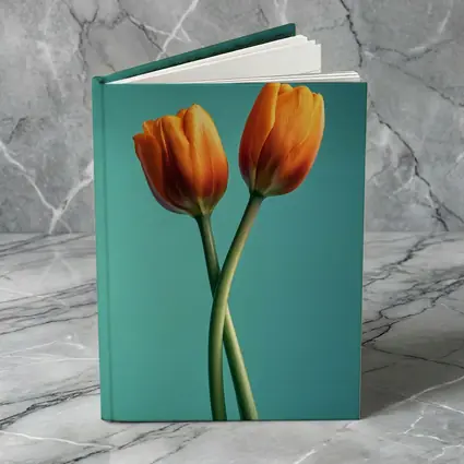 Two Orange Tulips Teal Background