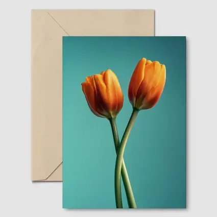 Two Orange Tulips Teal Background