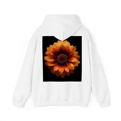 Orange Gaillardia Flower Black Background