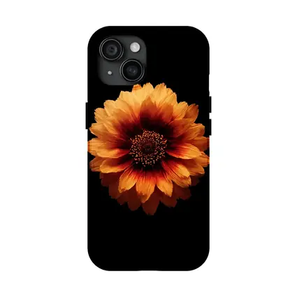 Orange Gaillardia Flower Black Background
