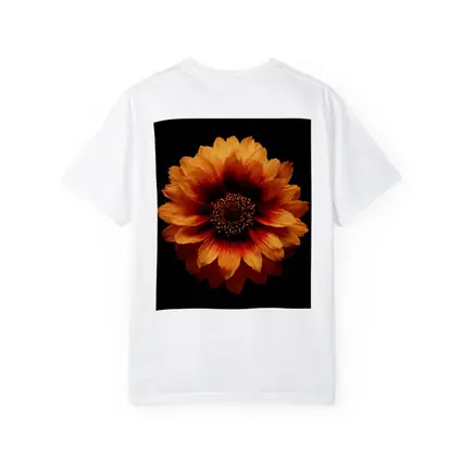 Orange Gaillardia Flower Black Background