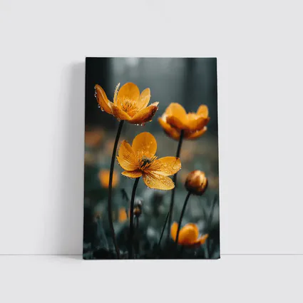 Orange Buttercup Flowers With Rain Drops