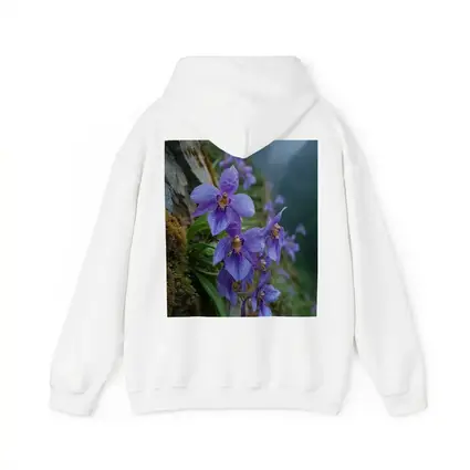 Purple Orchids Growing on Misty Mountain Cliff