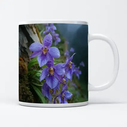 Purple Orchids Growing on Misty Mountain Cliff
