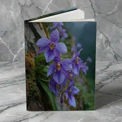 Purple Orchids Growing on Misty Mountain Cliff
