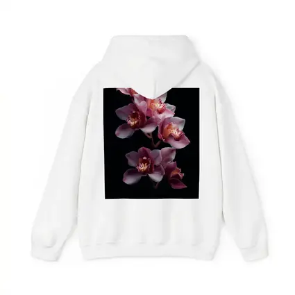Pink Cymbidium Orchid Flowers Black Background