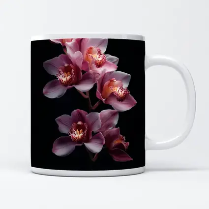Pink Cymbidium Orchid Flowers Black Background