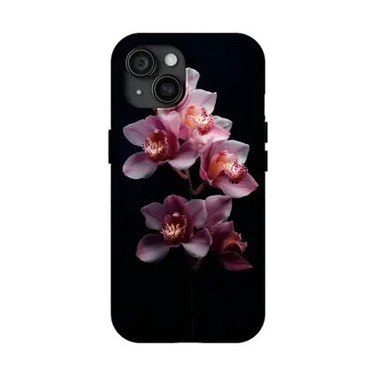 Pink Cymbidium Orchid Flowers Black Background