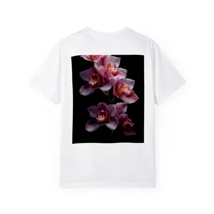 Pink Cymbidium Orchid Flowers Black Background