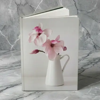 Pink Magnolia Flowers White Ceramic Pitcher