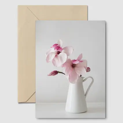 Pink Magnolia Flowers White Ceramic Pitcher