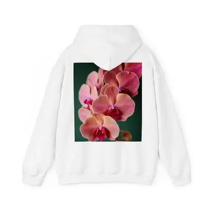 Pink Phalaenopsis Orchid Flowers Dark Green Background