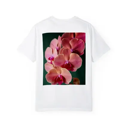 Pink Phalaenopsis Orchid Flowers Dark Green Background