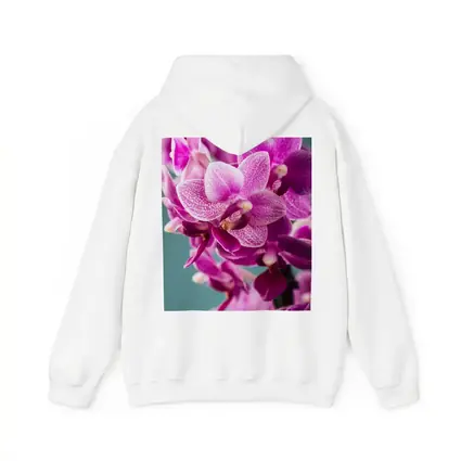 Pink Orchid Flowers on Teal Background