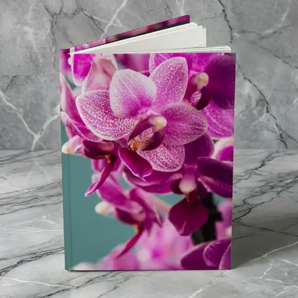 Pink Orchid Flowers on Teal Background
