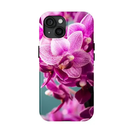 Pink Orchid Flowers on Teal Background
