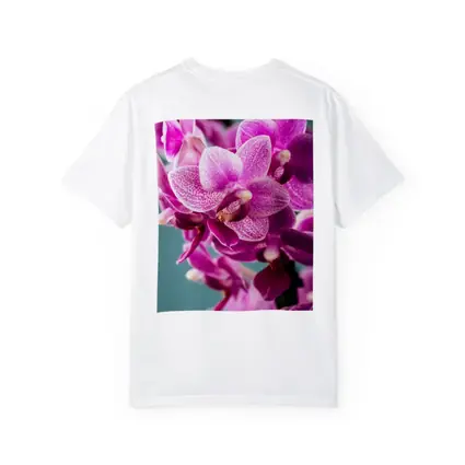 Pink Orchid Flowers on Teal Background