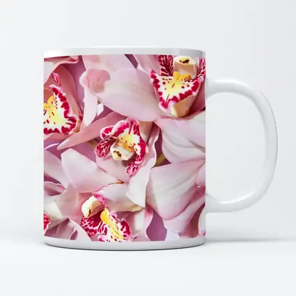 Pink Cymbidium Orchids on Pink Background