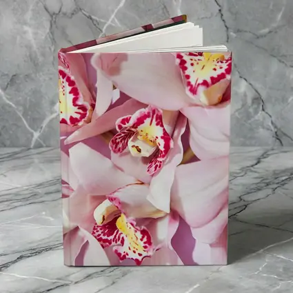 Pink Cymbidium Orchids on Pink Background