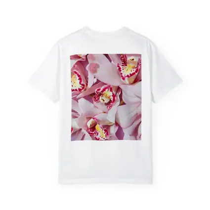 Pink Cymbidium Orchids on Pink Background