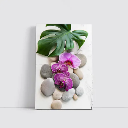 Pink Orchids Monstera Leaf Zen Stones