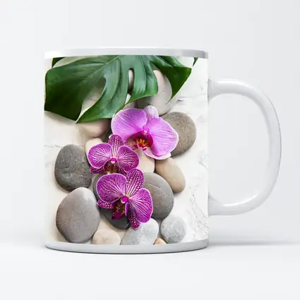 Pink Orchids Monstera Leaf Zen Stones