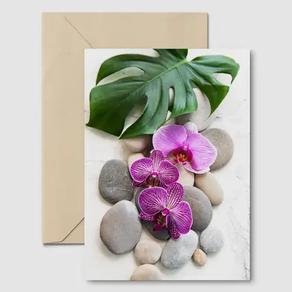 Pink Orchids Monstera Leaf Zen Stones