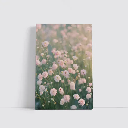 Pink Wildflowers Soft Dreamy Field Background
