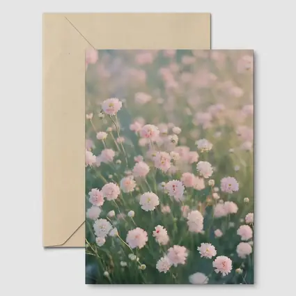 Pink Wildflowers Soft Dreamy Field Background