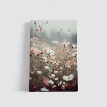 Pink White Cosmos Flowers Misty Field