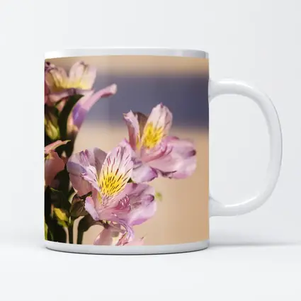 Pink Alstroemeria Flowers Soft Beige Background