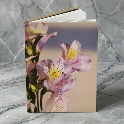 Pink Alstroemeria Flowers Soft Beige Background