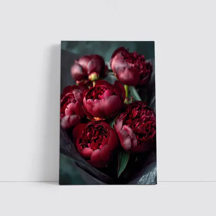 Dark Red Peonies Bouquet On Teal Background