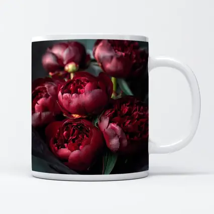 Dark Red Peonies Bouquet On Teal Background