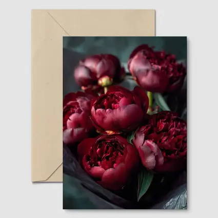 Dark Red Peonies Bouquet On Teal Background