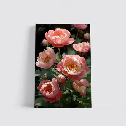 Pink Peonies Blooming in Dark Garden