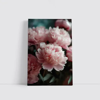 Pink Peonies Blooming Soft Floral Arrangement