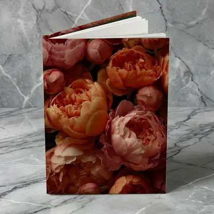 Pink and Orange Peonies Close Up Floral