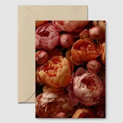 Pink and Orange Peonies Close Up Floral