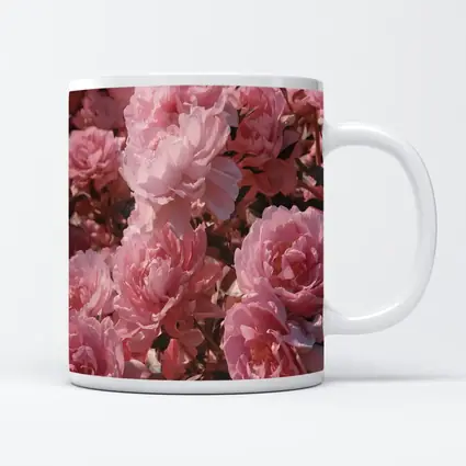 Pink Peonies Blooming In Soft Sunlight