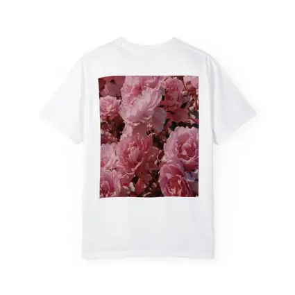 Pink Peonies Blooming In Soft Sunlight