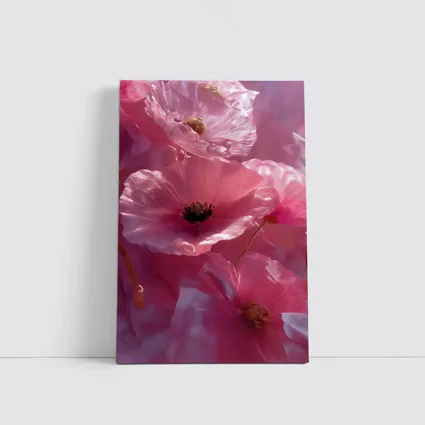 Pink Poppy Flowers Soft Dreamy Floral