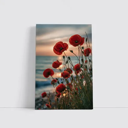 Red Poppies Blooming by Ocean Sunset