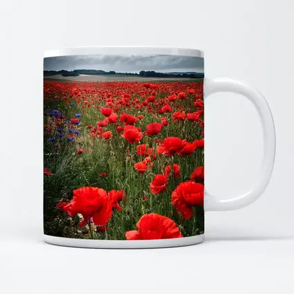 Red Poppies Field Under Cloudy Sky