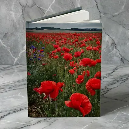 Red Poppies Field Under Cloudy Sky