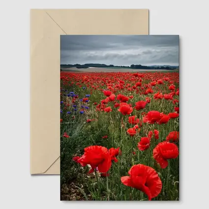 Red Poppies Field Under Cloudy Sky